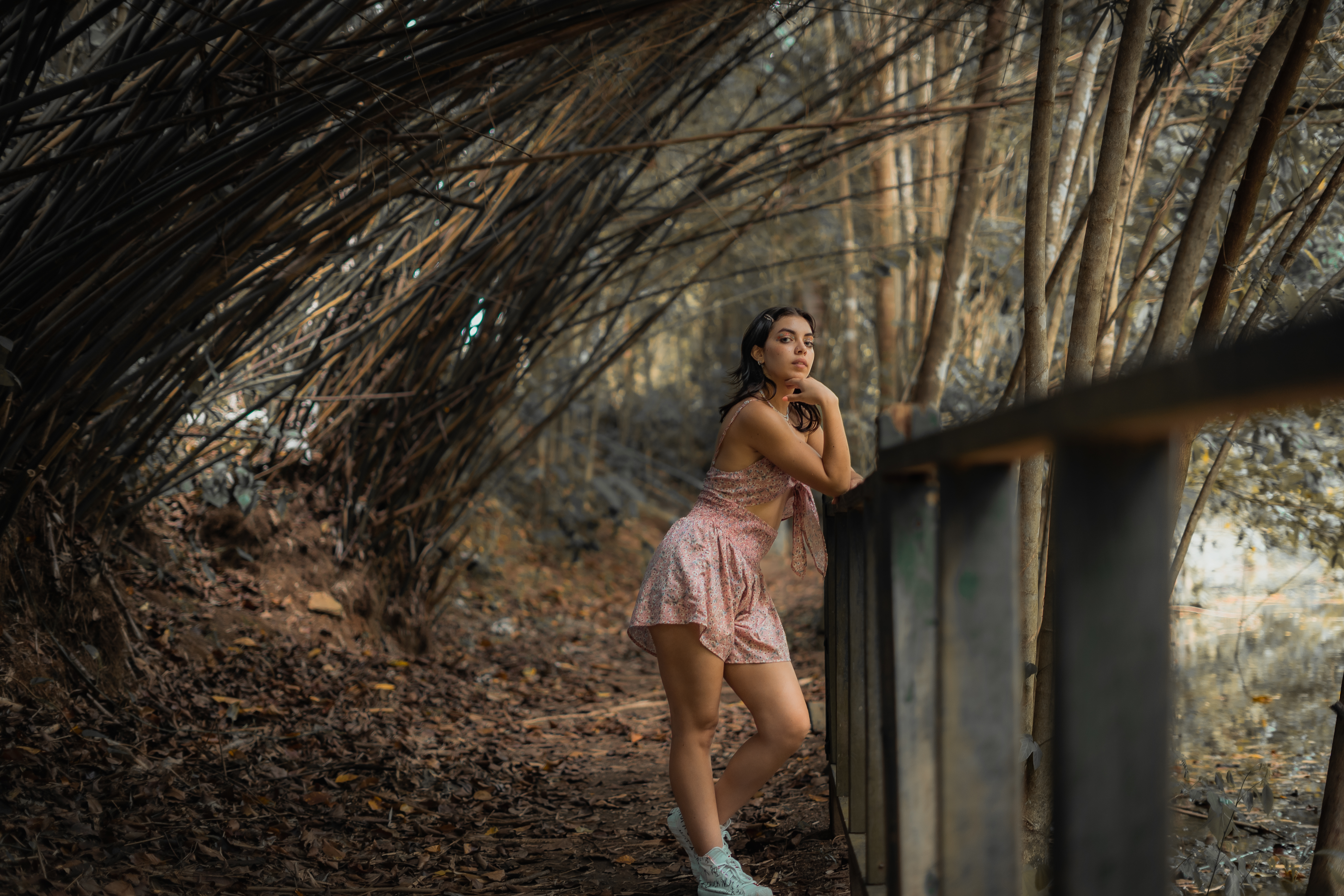 Photography 6